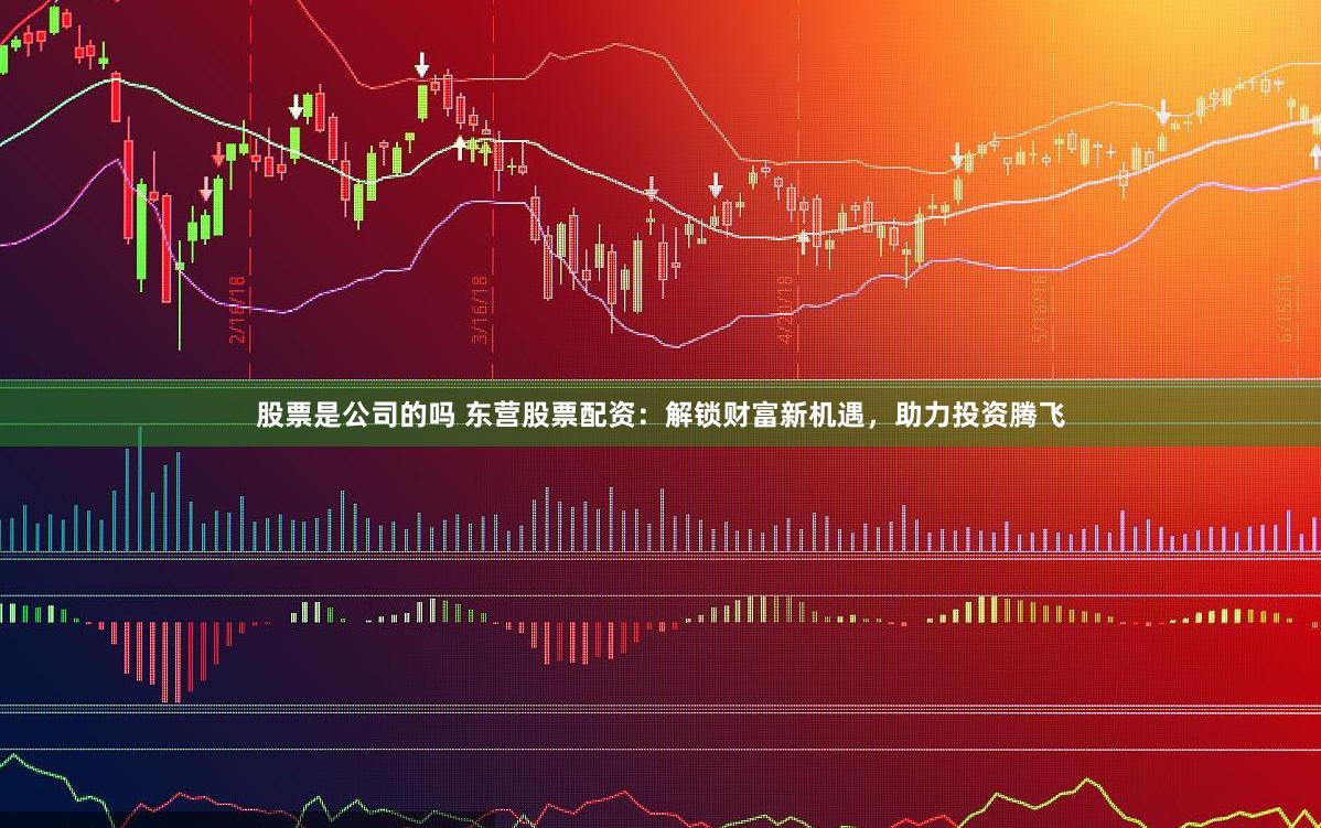 股票是公司的吗 东营股票配资:解锁财富新机遇,助力投资腾飞