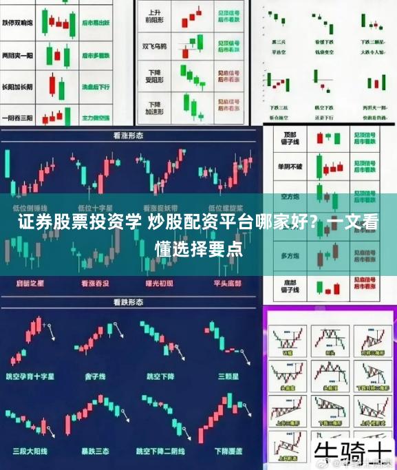 证券股票投资学 炒股配资平台哪家好?一文看懂选择要点
